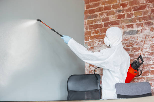 Best HVAC Mold Inspection and Cleaning  in Watkinsville, GA