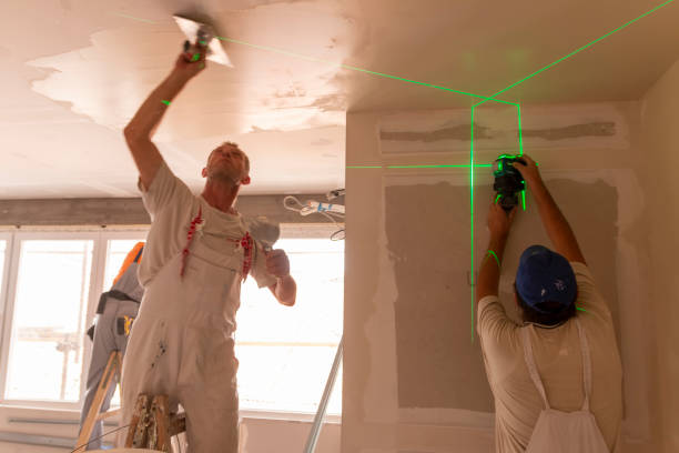Best Black Mold Removal  in Watkinsville, GA