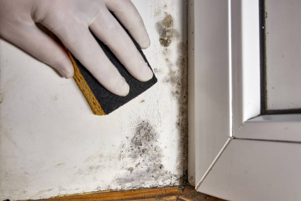 Best Residential Mold Inspection & Testing  in Watkinsville, GA