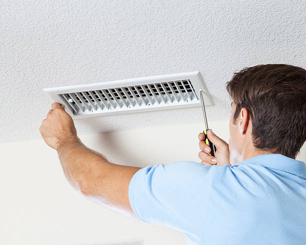 Best Basement Mold Removal  in Watkinsville, GA