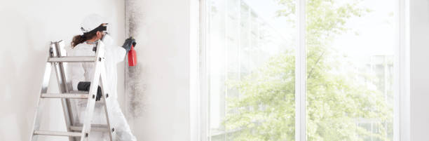 Reliable Watkinsville, GA Mold Removal Solutions