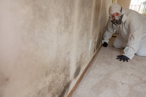 Best Flood Damage  in Watkinsville, GA